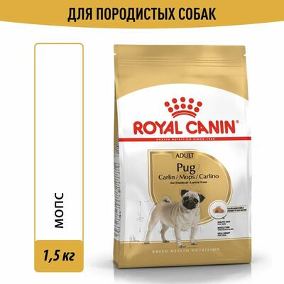 Сухие корма Royal Canin Корм для взрослых собак Royal Canin Pug Adult сухой для породы Мопс от 10 месяцев, 1,5 кг Сухие корма Royal Canin Корм для взрослых собак Royal Canin Pug Adult сухой для породы Мопс от 10 месяцев, 1,5 кг (фото)