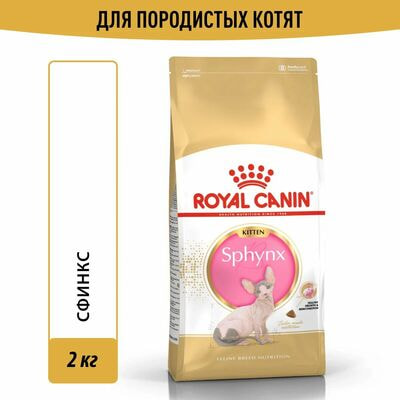 Сухие корма Royal Canin Корм для кошек Royal Canin Sphynx Kitten Корм сухой сбалансированный для котят породы Сфинкс, 2 кг Сухие корма Royal Canin Корм для кошек Royal Canin Sphynx Kitten Корм сухой сбалансированный для котят породы Сфинкс, 2 кг (фото)