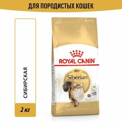 Сухие корма Royal Canin Корм для кошек Royal Canin Siberian Adult сухой специально для породы Сибирская от 12 месяцев, 2 кг Сухие корма Royal Canin Корм для кошек Royal Canin Siberian Adult сухой специально для породы Сибирская от 12 месяцев, 2 кг (фото)