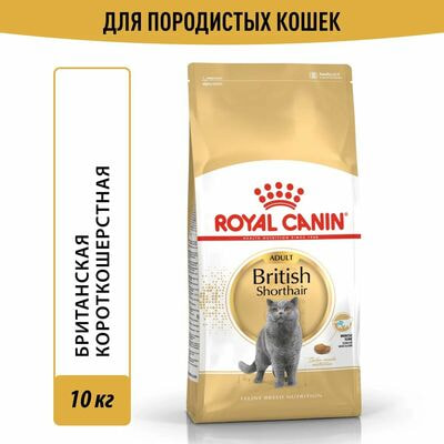 Сухие корма Royal Canin Корм для взрослых британских короткошерстных кошек Royal Canin British Shorthair Adult сухой сбалансированный , 10 кг Сухие корма Royal Canin Корм для взрослых британских короткошерстных кошек Royal Canin British Shorthair Adult сухой сбалансированный , 10 кг (фото)
