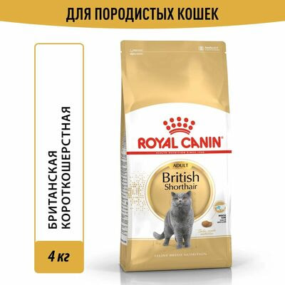 Сухие корма Royal Canin Корм сухой сбалансированный Royal Canin British Shorthair Adult для взрослых британских короткошерстных кошек, 4 кг Сухие корма Royal Canin Корм сухой сбалансированный Royal Canin British Shorthair Adult для взрослых британских короткошерстных кошек, 4 кг (фото)