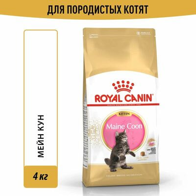 Сухие корма Royal Canin Корм для кошек Royal Canin Maine Coon Kitten Корм сухой сбалансированный для котят породы Мэйн Кун, 4 кг Сухие корма Royal Canin Корм для кошек Royal Canin Maine Coon Kitten Корм сухой сбалансированный для котят породы Мэйн Кун, 4 кг (фото)