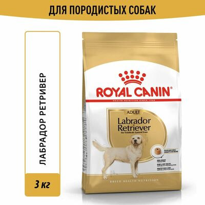 Сухие корма Royal Canin Корм для собак Royal Canin Labrador Retriever Корм сухой для взрослых собак породы Лабрадор Ретривер от 15 месяцев, 3 кг Сухие корма Royal Canin Корм для собак Royal Canin Labrador Retriever Корм сухой для взрослых собак породы Лабрадор Ретривер от 15 месяцев, 3 кг (фото)