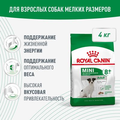Сухие корма Royal Canin Royal Canin Mini Adult 8+ для взрослых собак мелких размеров (до 10 ) старше 8 лет, 4 кг Сухие корма Royal Canin Royal Canin Mini Adult 8+ для взрослых собак мелких размеров (до 10 ) старше 8 лет, 4 кг (фото)
