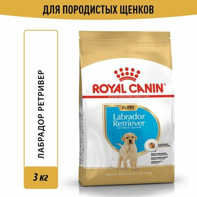 Сухие корма Royal Canin Royal Canin Labrador Retriever Puppy Корм сухой для щенков породы лабрадор ретривер до 15 месяцев, 3 кг Сухие корма Royal Canin Royal Canin Labrador Retriever Puppy Корм сухой для щенков породы лабрадор ретривер до 15 месяцев, 3 кг (фото)