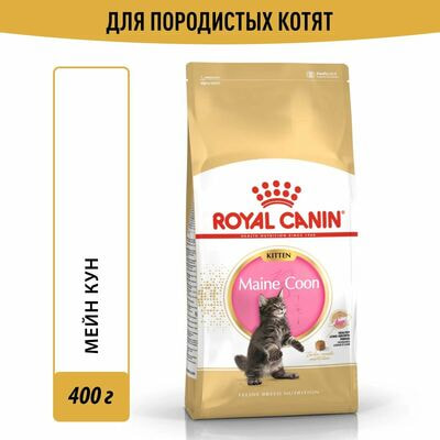 Сухие корма Royal Canin Корм для кошек Royal Canin Maine Coon Kitten Корм сухой сбалансированный для котят породы Мэйн Кун, 2 шт по 400 г Сухие корма Royal Canin Корм для кошек Royal Canin Maine Coon Kitten Корм сухой сбалансированный для котят породы Мэйн Кун, 2 шт по 400 г (фото)