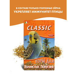   Fiory FIORY     Classic 400 