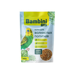   Bambini Pets  Bambini Pets   , 800 