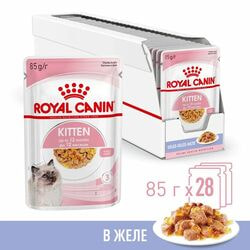  ,  Royal Canin    Royal Canin Kitten Jelly           2 ,    28   85 
