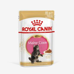  ,  Royal Canin Royal Canin MAINE COON KITTEN.          15 ,   . 28   85 