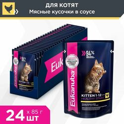  ,  Eukanuba     Eukanuba Kitten Healthy Start , 24   85 