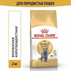  Royal Canin       Royal Canin British Shorthair Adult   , 2 