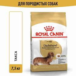   Royal Canin   Royal Canin Dashshund Adult     10 , 7,5 