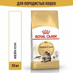   Royal Canin    Royal Canin Maine Coon Adult         , 10 