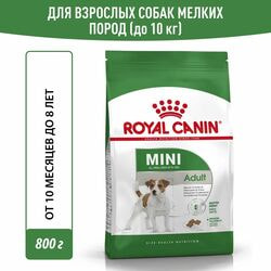   Royal Canin Royal Canin Mini Adult         2 , 2   800 