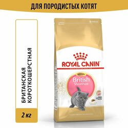   Royal Canin    Royal Canin British Shorthair Kitten      , 2 