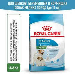   Royal Canin          2 ,     Royal Canin Mini Starter, 8.5 