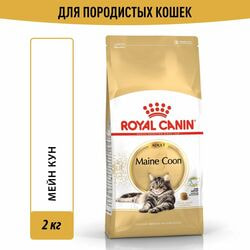   Royal Canin    Royal Canin Maine Coon Adult         , 2 