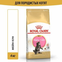   Royal Canin    Royal Canin Maine Coon Kitten        , 4 