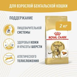   Royal Canin Royal Canin BENGAL ADULT ( )           12  