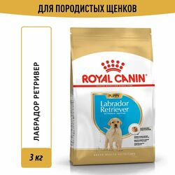   Royal Canin Royal Canin Labrador Retriever Puppy         15 , 3 