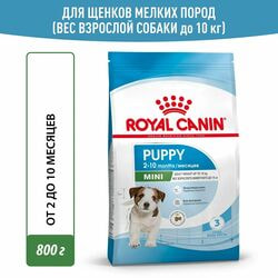   Royal Canin          2  Royal Canin Mini Puppy, 2   800 