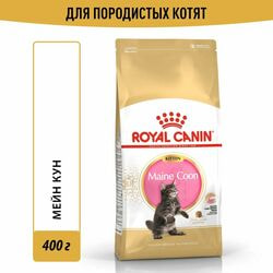  Royal Canin    Royal Canin Maine Coon Kitten        , 2   400 