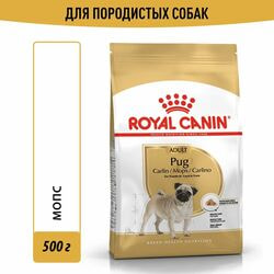   Royal Canin     Royal Canin Pug Adult      2 , 2   500 