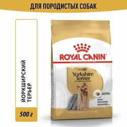   Royal Canin     Royal Canin Yorkshire Terrier Adult       2 , 2   500 
