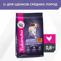   Eukanuba       Eukanuba  , 2   800 